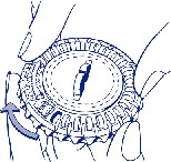 Act_pic3-280