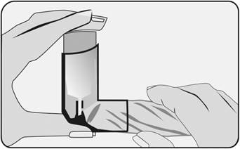 A close-up of a person's hand

Description automatically generated