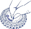 Act_pic1-280